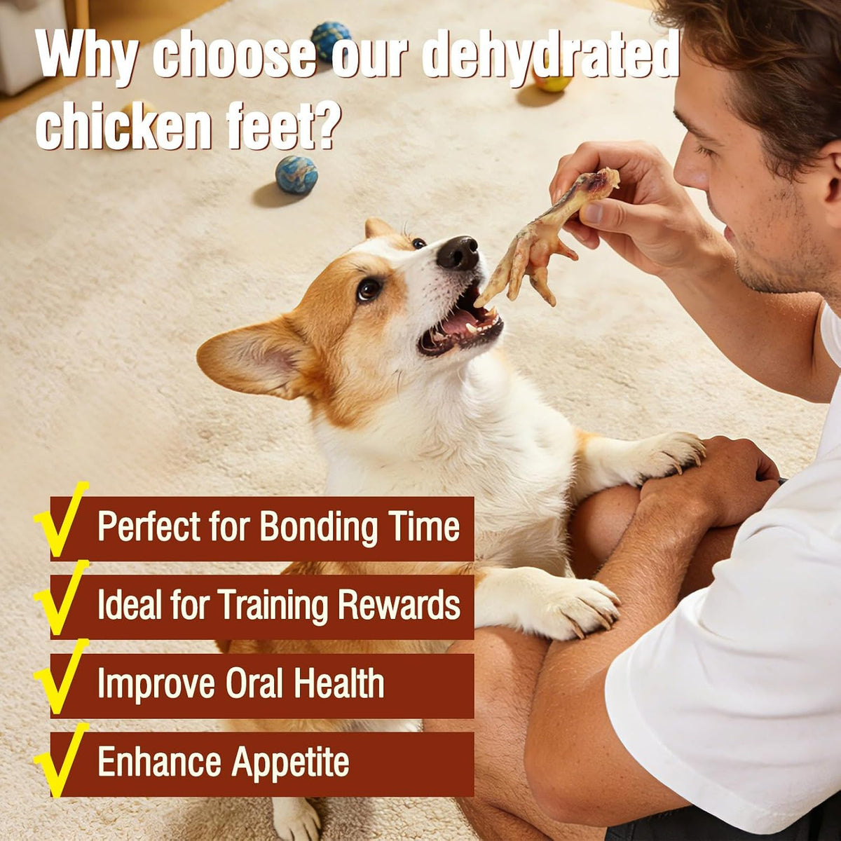 Close up of dehydrated chicken feet texture for dental health