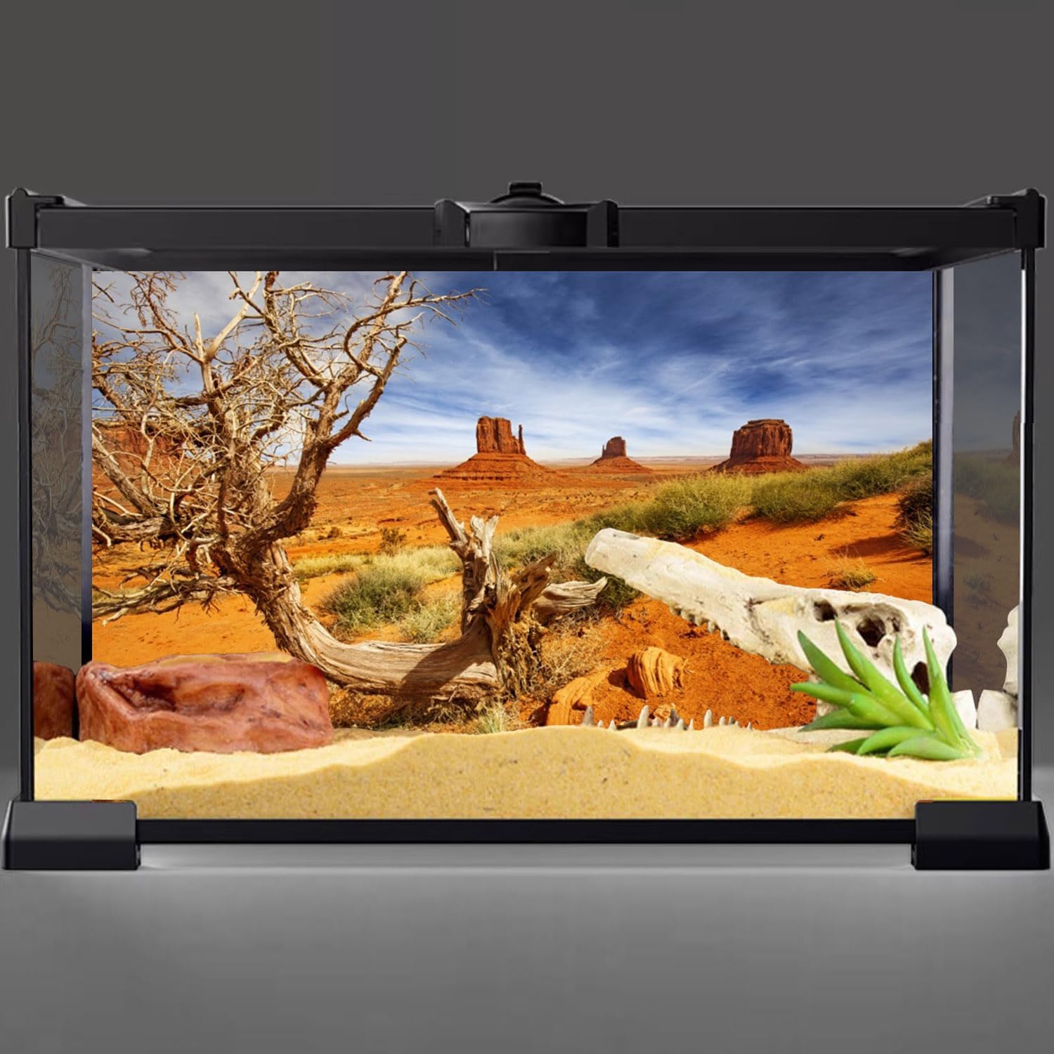 AWERT 36x18 inches polyester desert backdrop attached to a reptile tank