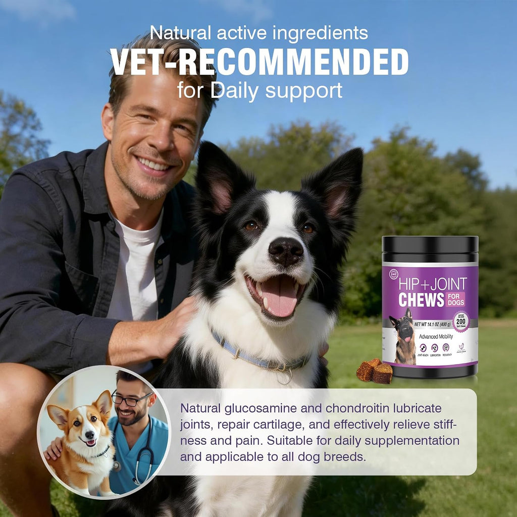 TTLXRL advanced veterinary formula hip and joint supplements for senior dogs