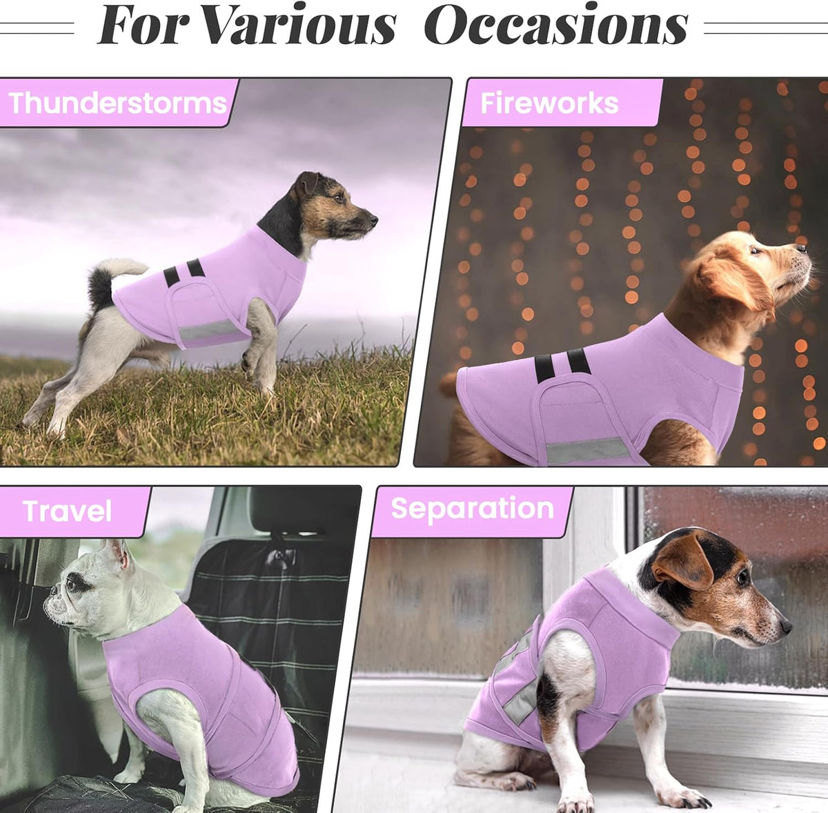 Side view of small dog wearing the light purple MIGOHI swaddling vest
