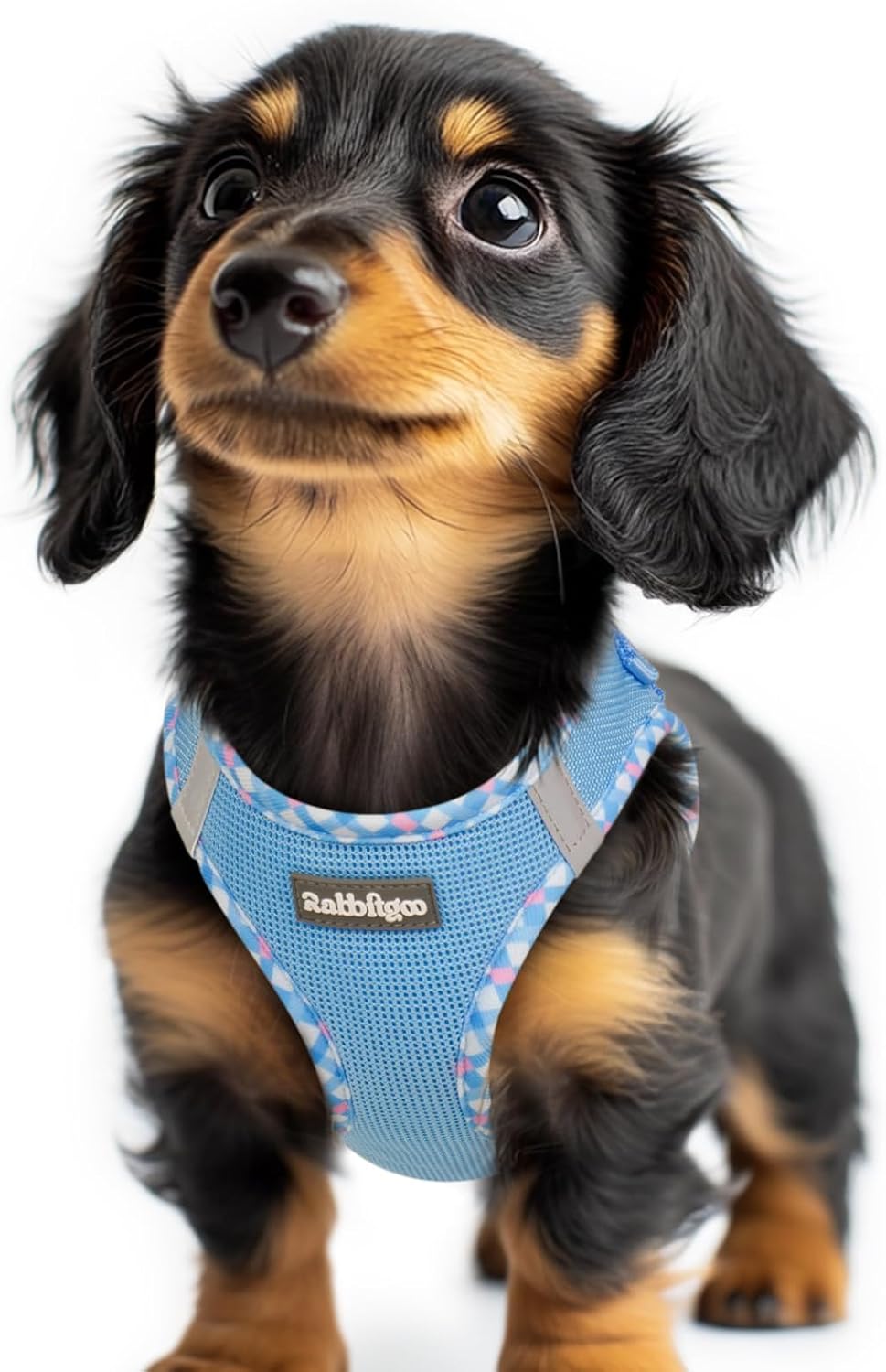 rabbitgoo Small Dog Harness, Step-in Easy On Soft Light Puppy Vest with Breathable Mesh for Walking, Safe Reflective Pet Harness for Small Sized Dogs, Navy Blue S - Image 14