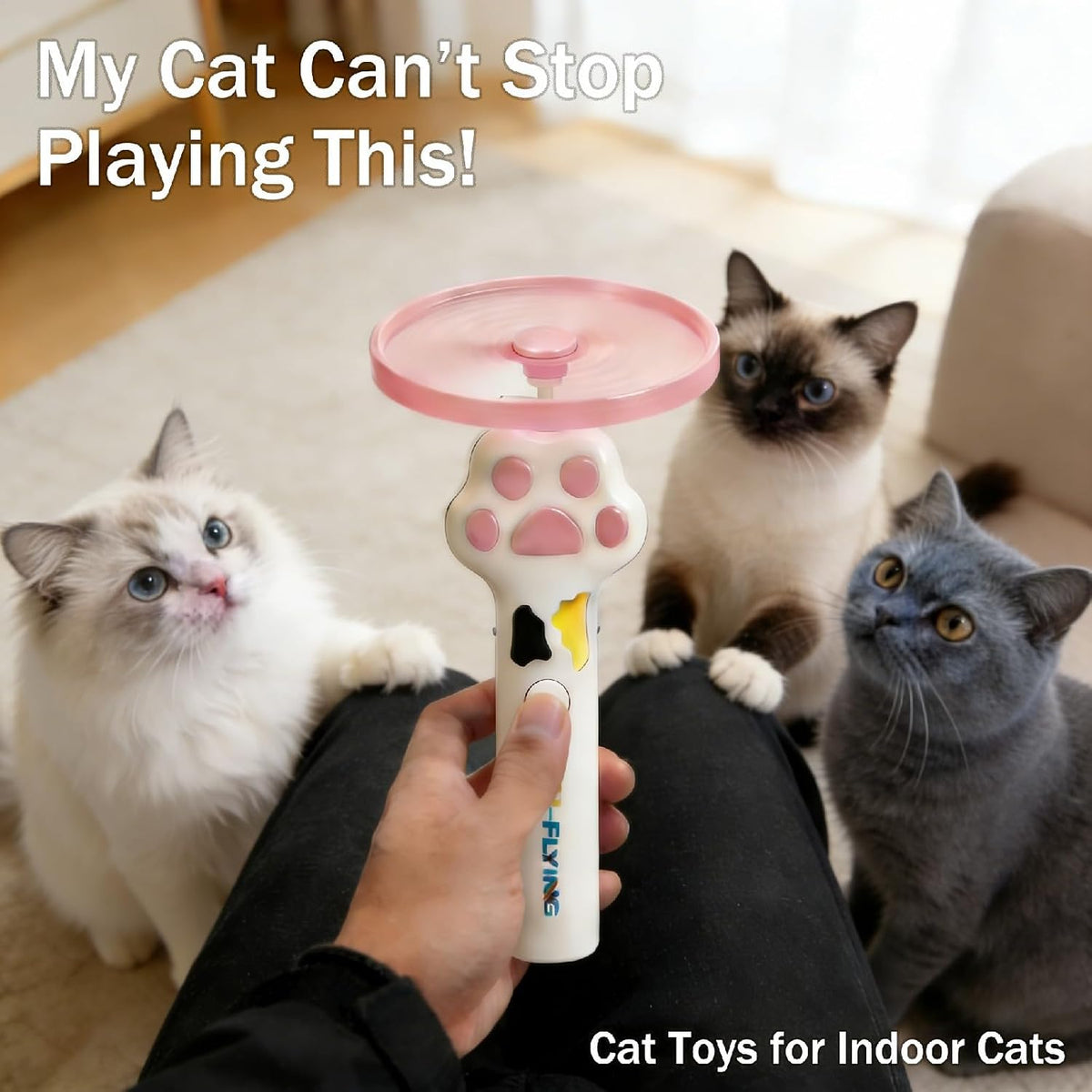 LED glowing interactive pet fetch launcher for evening chasing games with kittens