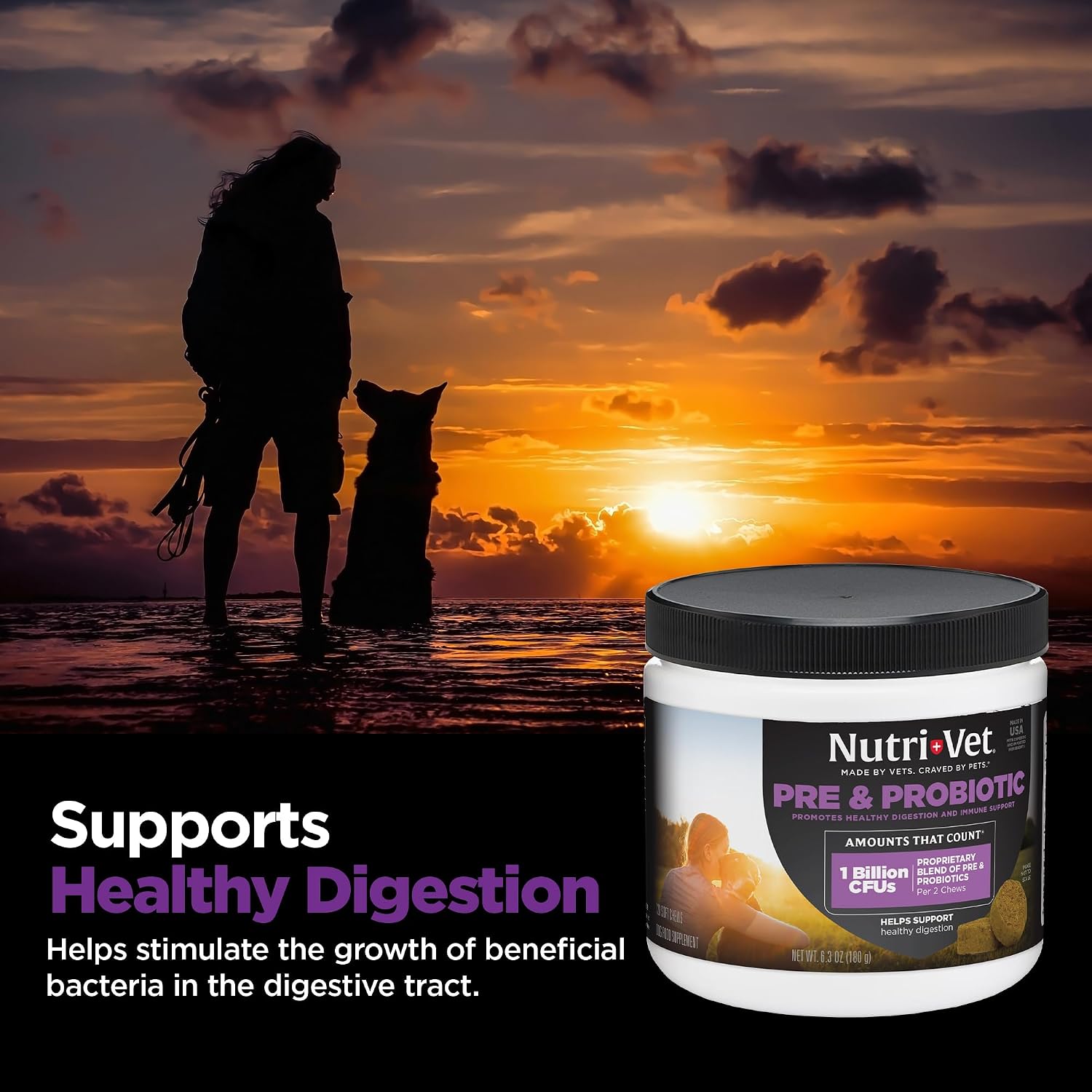 Nutri-Vet dog digestive support soft chews 120 count container side view