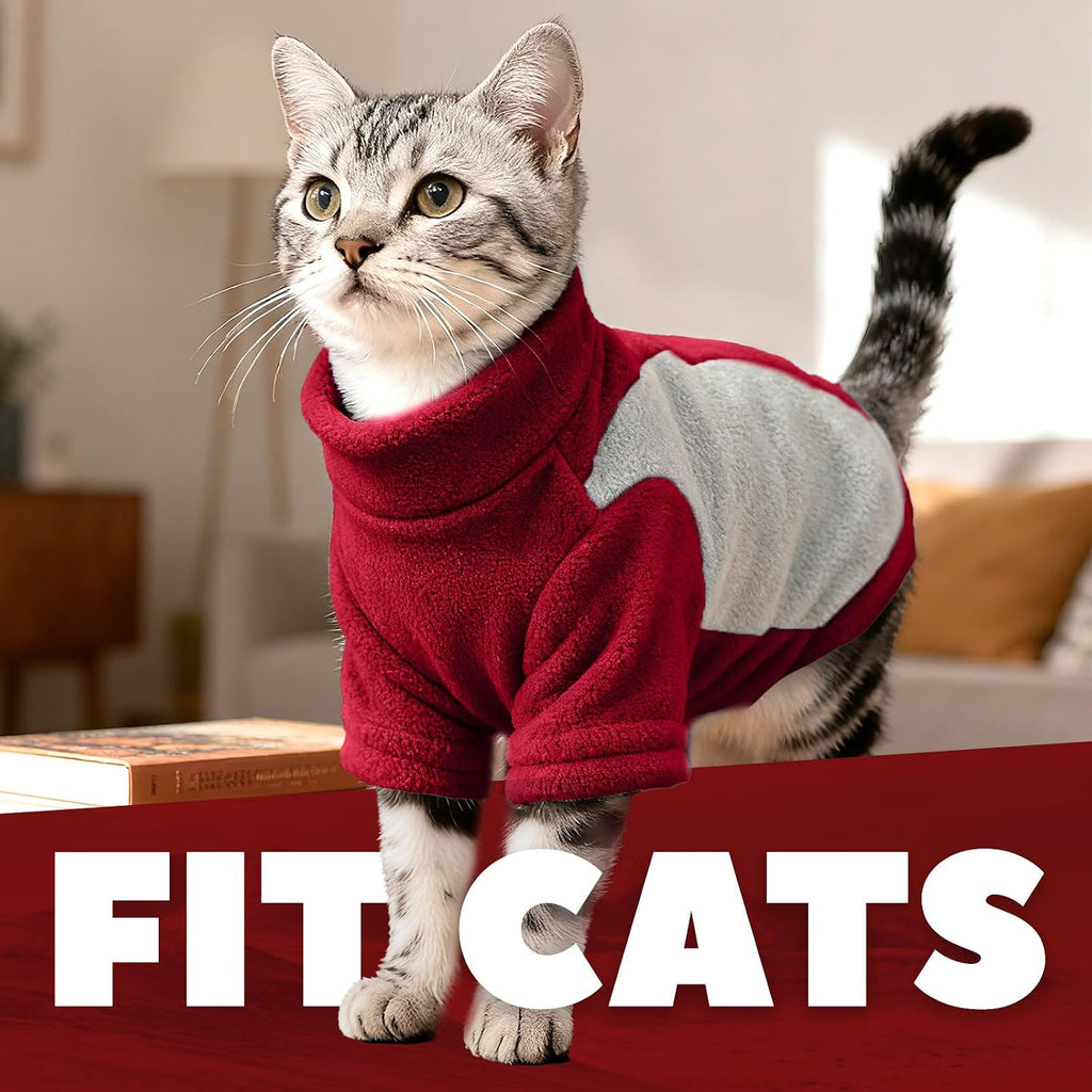 SEHFKKD authentic imported small pet winter outfit flat lay product shot