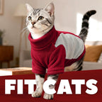 SEHFKKD authentic imported small pet winter outfit flat lay product shot