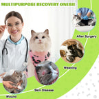 Close up of hook and loop fasteners on feline recovery garment