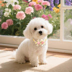 Ten pieces of assorted colorful decorative pet necklaces for cats and puppies