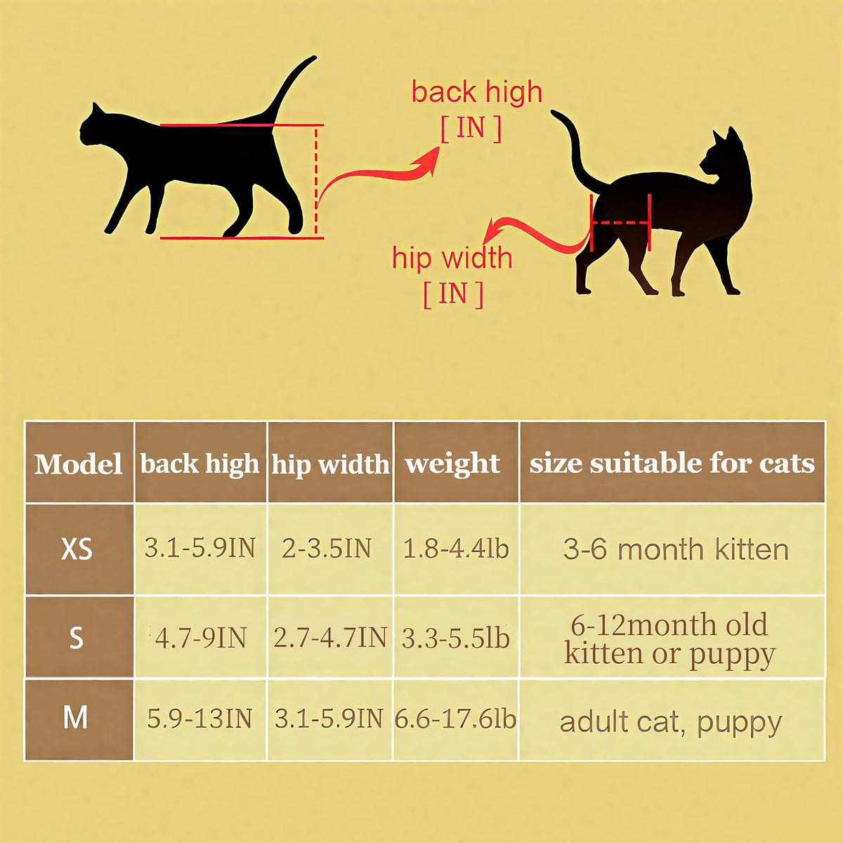 Cat wearing Tosphu rehabilitation wheelchair harness