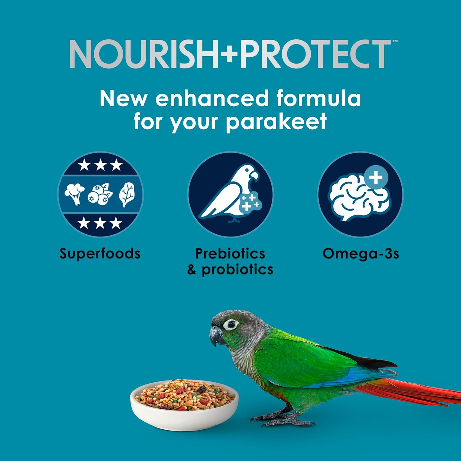 Close up of Kaytee Pro Health bird food blend texture