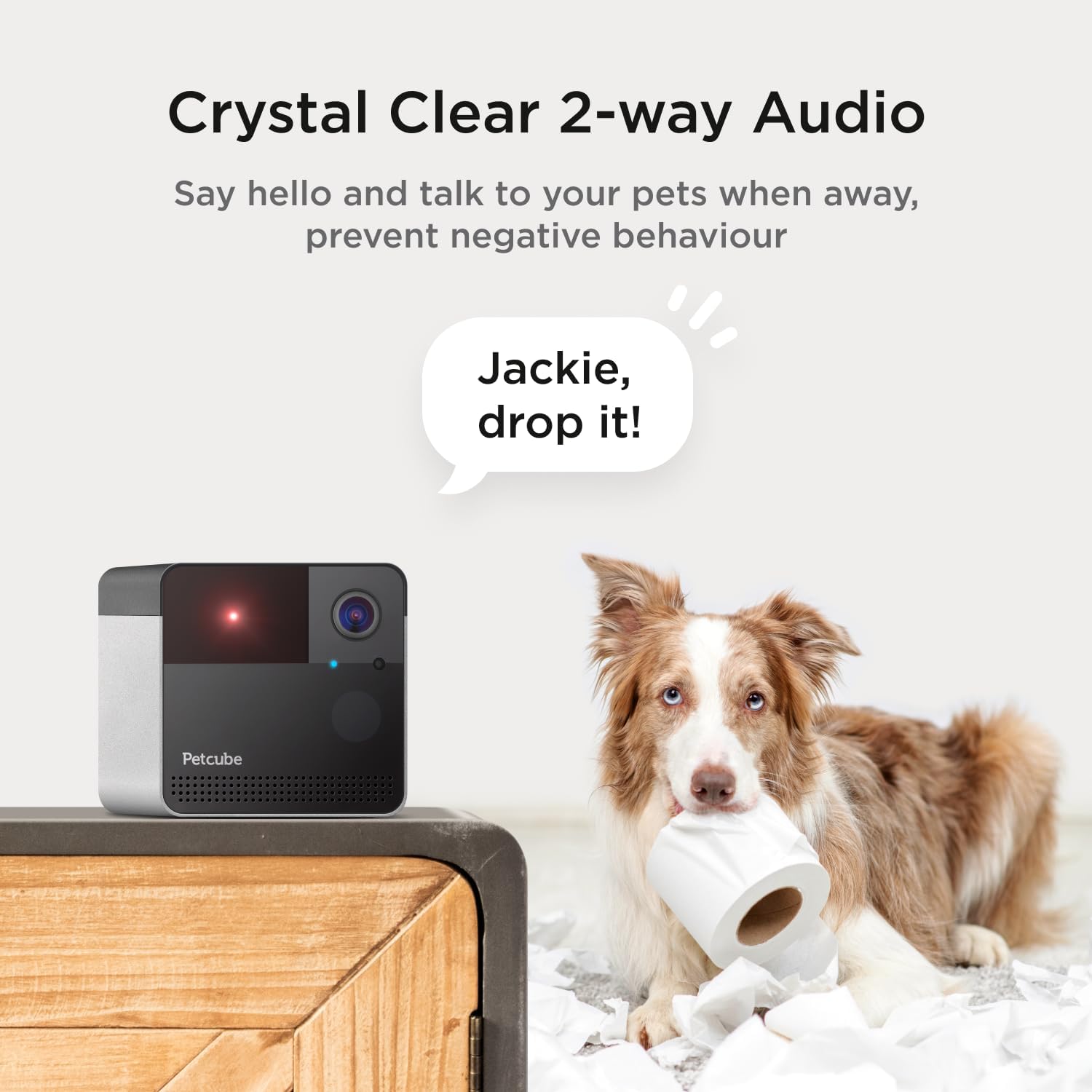 Authentic USA-imported pet tracking device showing smart sound and motion alerts