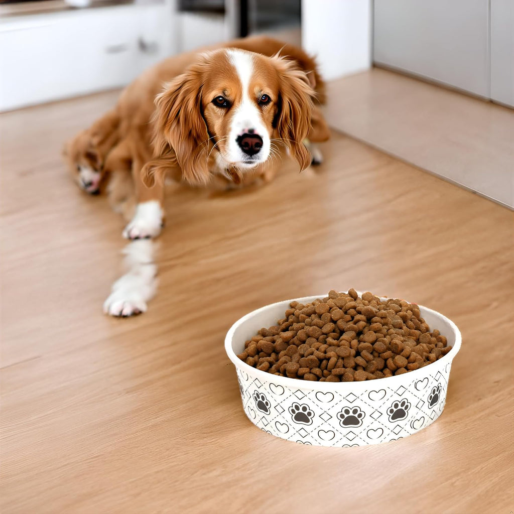 SOUJOY single use biodegradable dog bowls side perspective
