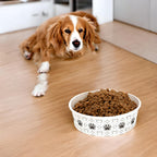 SOUJOY single use biodegradable dog bowls side perspective
