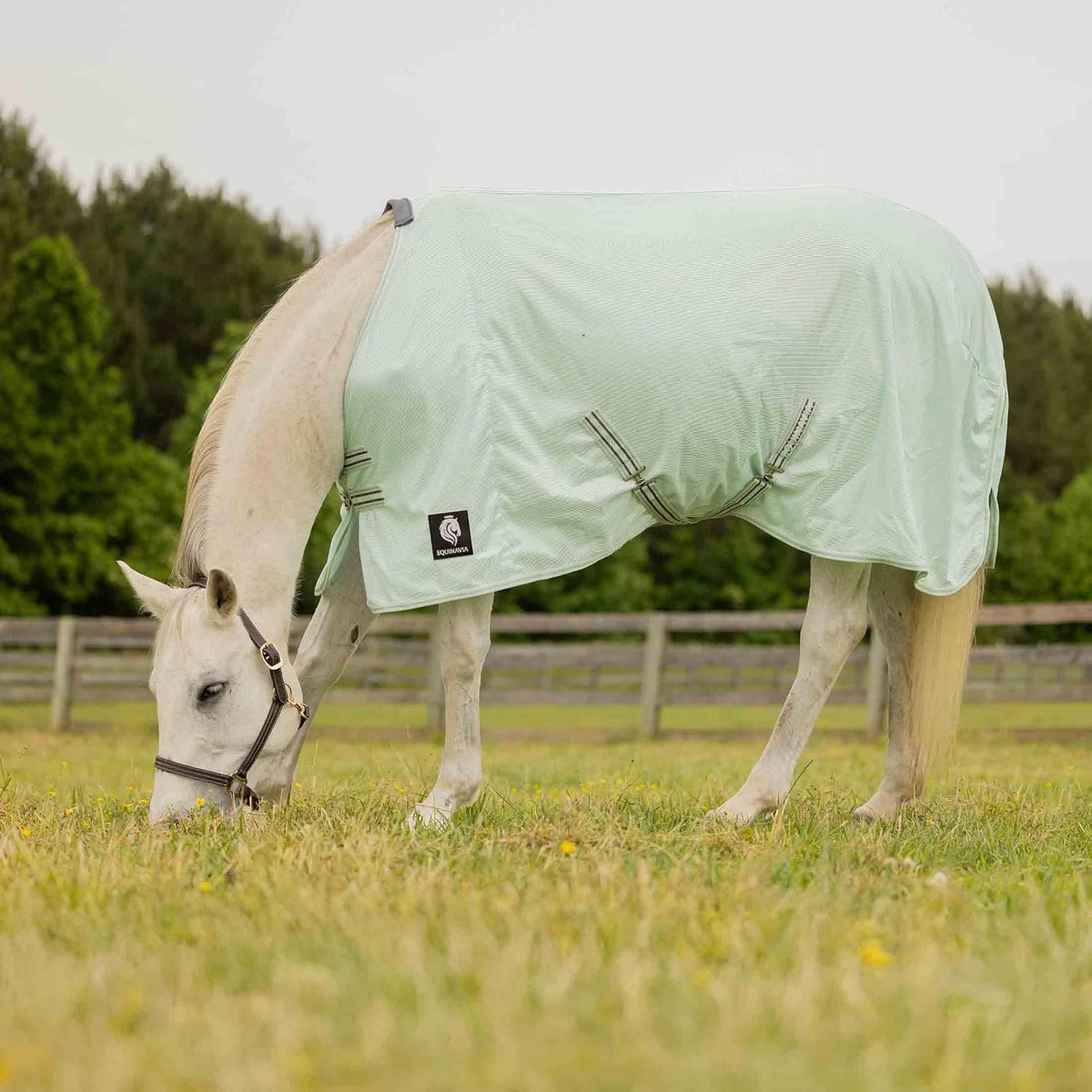 Equinavia Gard Horse Fly Sheet, UV Protection Mesh Design, Lightweight Nylon Turnout Cover, Breathable Summer Protection, Equine Fly Sheet for Horses and Ponies, Silver Grey/Turquoise - Image 11