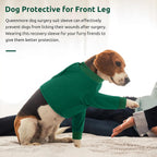 Ribbed edging details on the collar of an anti lick pet recovery suit