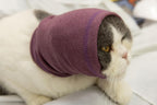 Cat wearing Pail Lilac snood for anxiety relief
