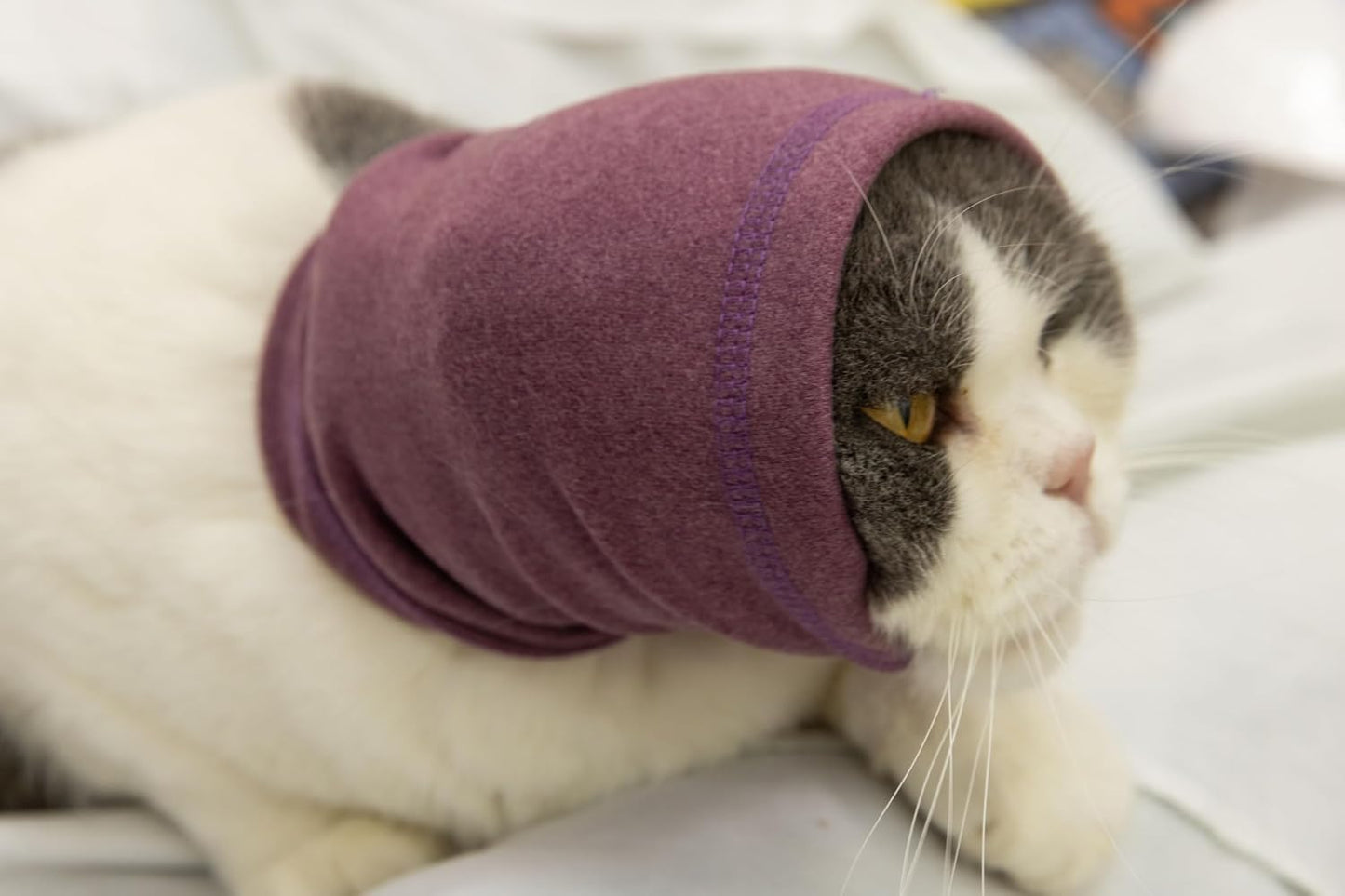 Cat wearing Pail Lilac snood for anxiety relief