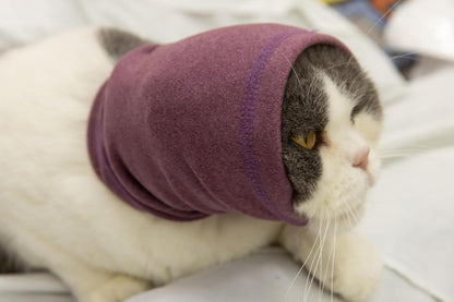 Cat wearing Pail Lilac snood for anxiety relief