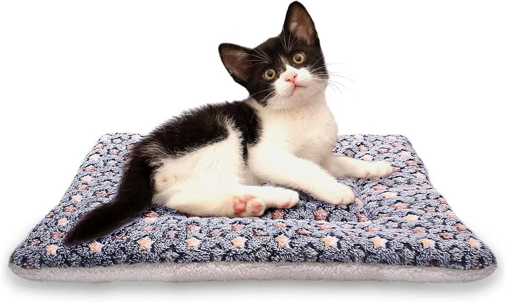 Authentic FJWYSANGU imported fluffy pet bedding for small and medium animals