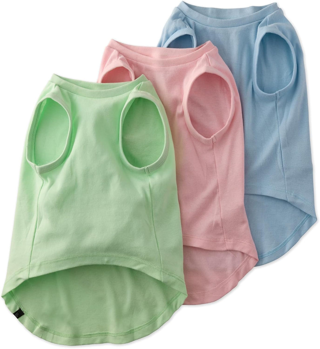 Sage ombre organic dog t-shirt set