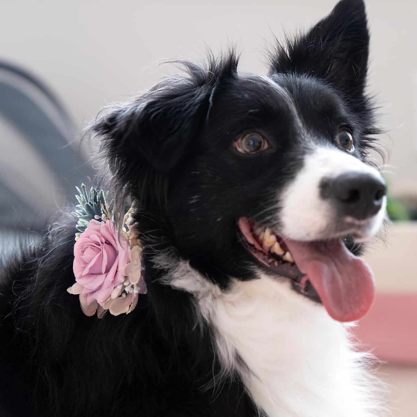 Decorative rose charm for pet collar photoshoots