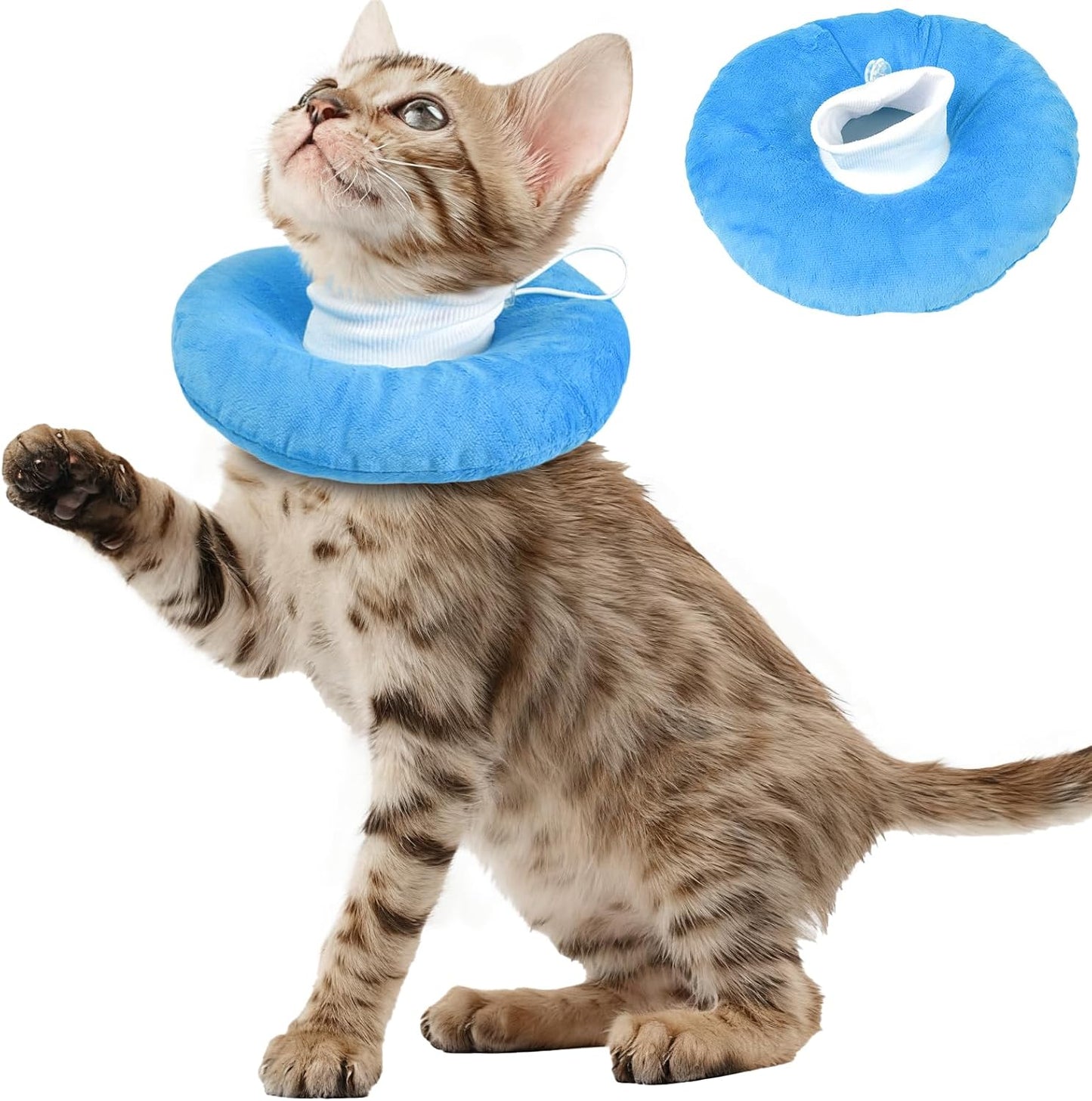 MORVIGIVE cat cone collar soft blue small front view on a kitten