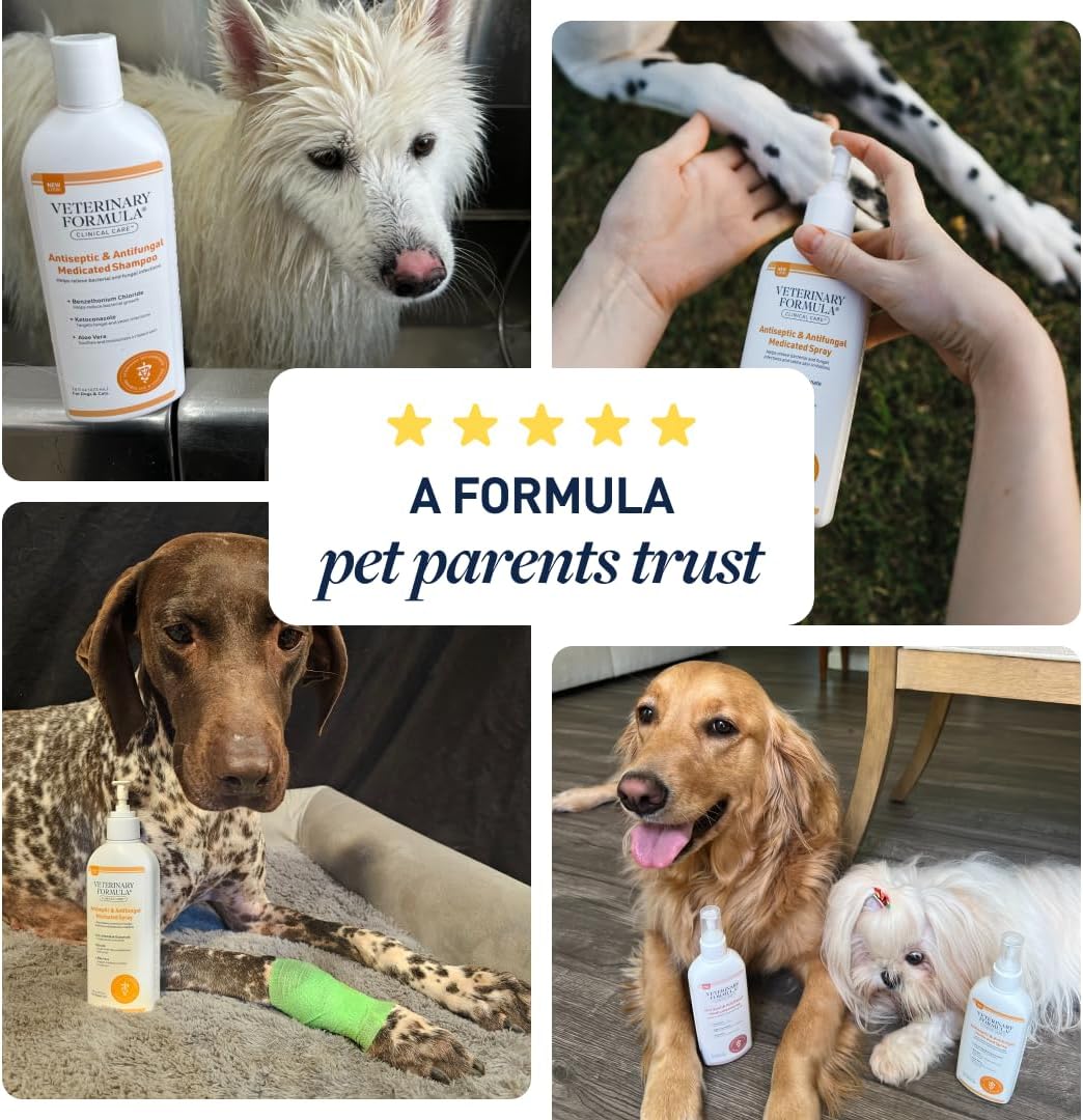 Authentic Veterinary Formula antiseptic and antifungal treatment spray for dogs and cats itchy skin relief