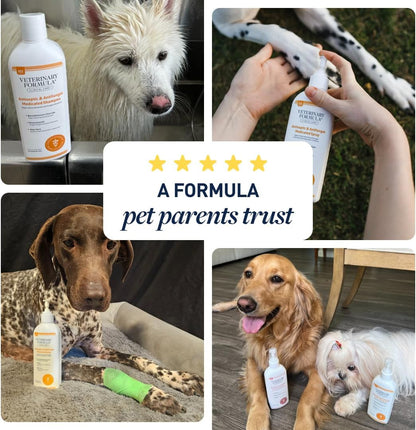 Authentic Veterinary Formula antiseptic and antifungal treatment spray for dogs and cats itchy skin relief