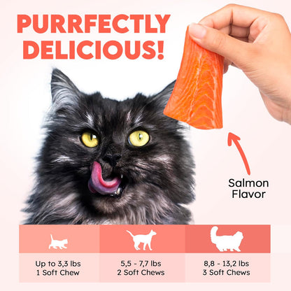 Salmon flavor cat health supplement for skin and coat shine