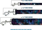 Buckle-Down durable nylon dog leash steel hardware