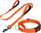 FunTags Reflective Hotpink Martingale Collar (16"-20") & Leash (5ft x 1") for Medium Dog, Escape-Proof with 2 Handles, Safe Night Walks, Durable Nylon, Quick-Release Buckle - Image 10