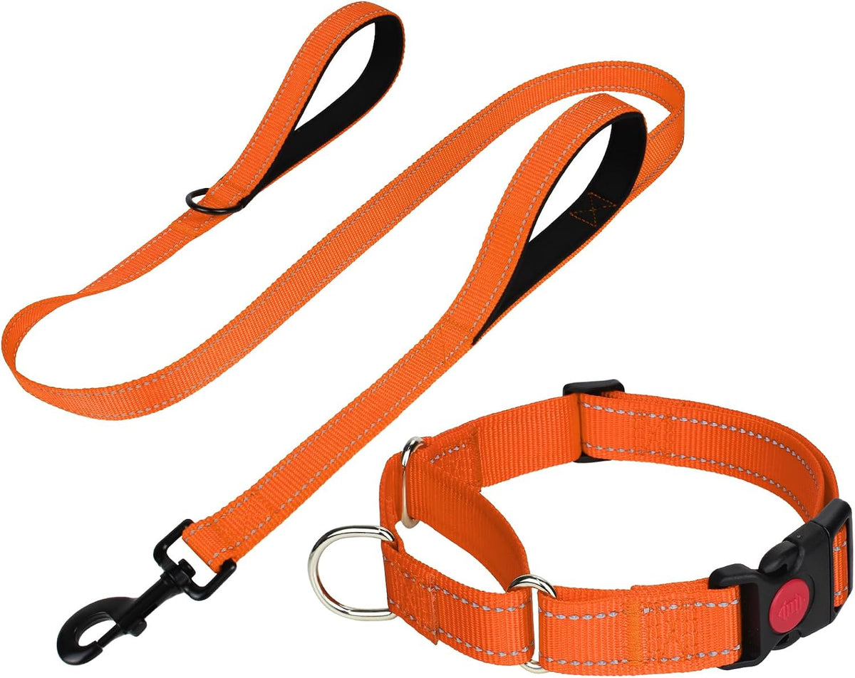 FunTags Reflective Hotpink Martingale Collar (16"-20") & Leash (5ft x 1") for Medium Dog, Escape-Proof with 2 Handles, Safe Night Walks, Durable Nylon, Quick-Release Buckle - Image 10