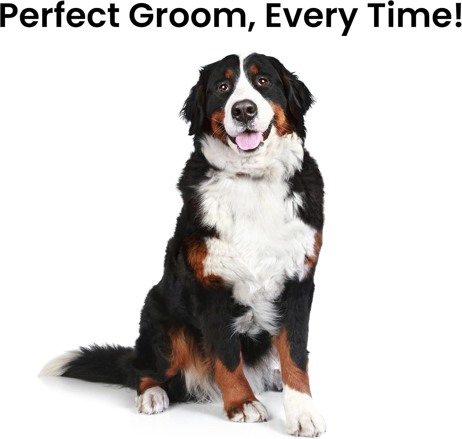 Fresh metal dog comb used on thick fur