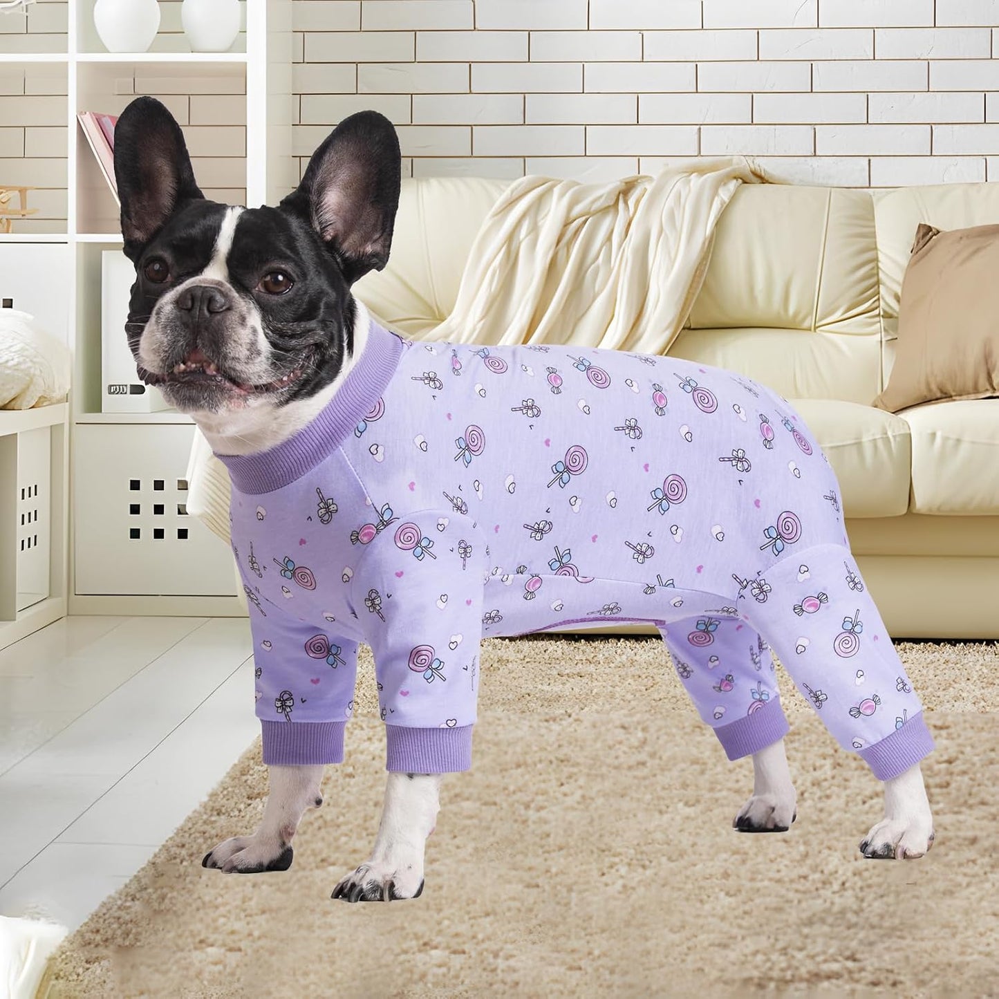 AITOLI post operative pet bodysuit featuring back zipper closure design