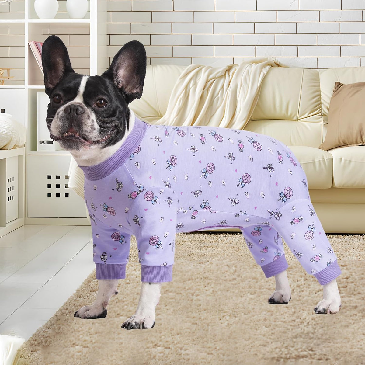 AITOLI post operative pet bodysuit featuring back zipper closure design