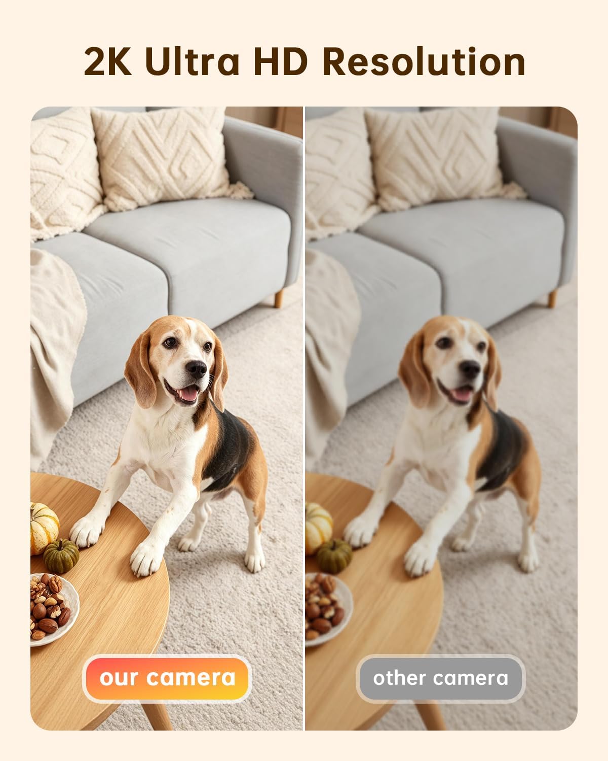ELYSOO camera monitoring a dog in a living room