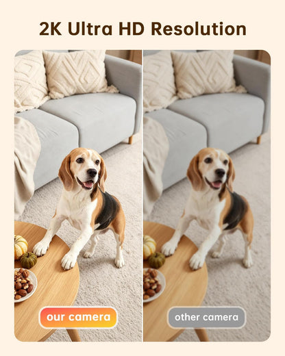 ELYSOO camera monitoring a dog in a living room