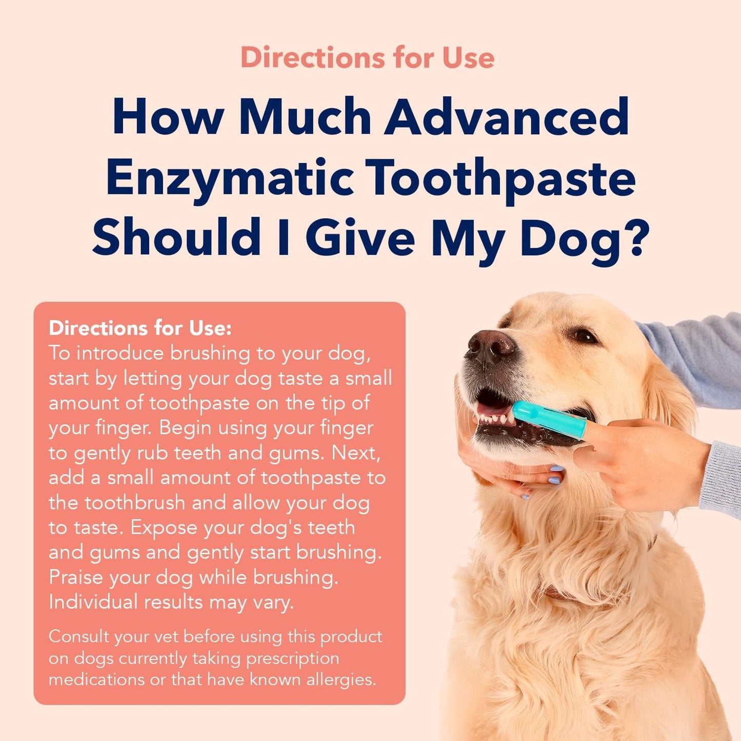 Applying Vets Preferred enzymatic toothpaste to dog toothbrush
