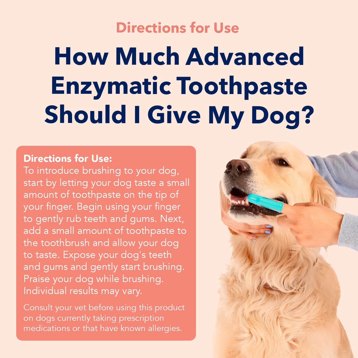 Applying Vets Preferred enzymatic toothpaste to dog toothbrush