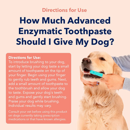 Applying Vets Preferred enzymatic toothpaste to dog toothbrush