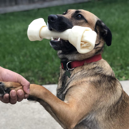 Close up of the high quality rawhide knots engineered for power chewers.