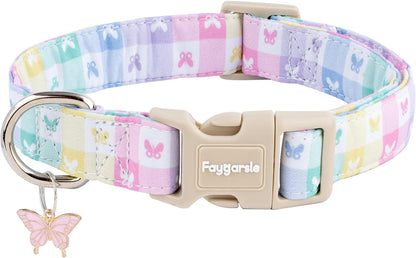 Stylish dog wearing Faygarsle cotton floral collar outdoors