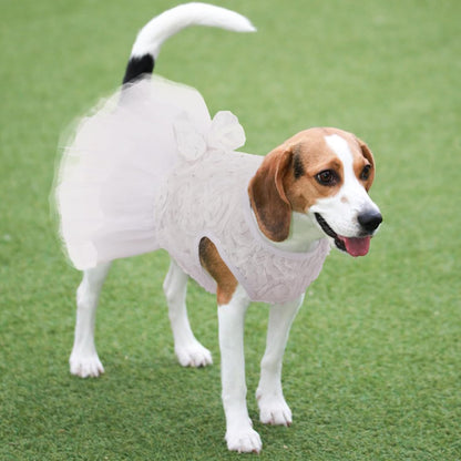 Kuoser retro dog bride attire on a small breed puppy model profile view