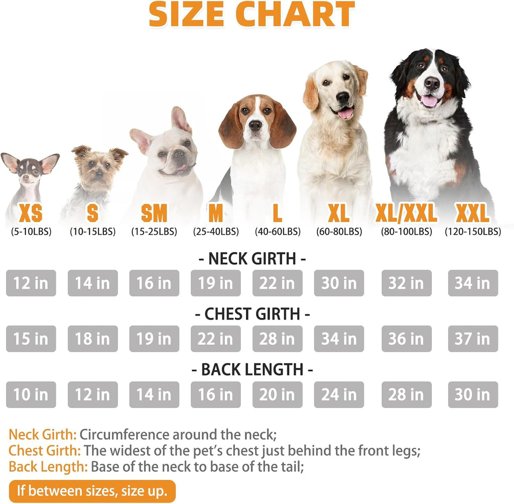 Warm winter dog hooded sweatshirt with high-cut tummy design for potty breaks