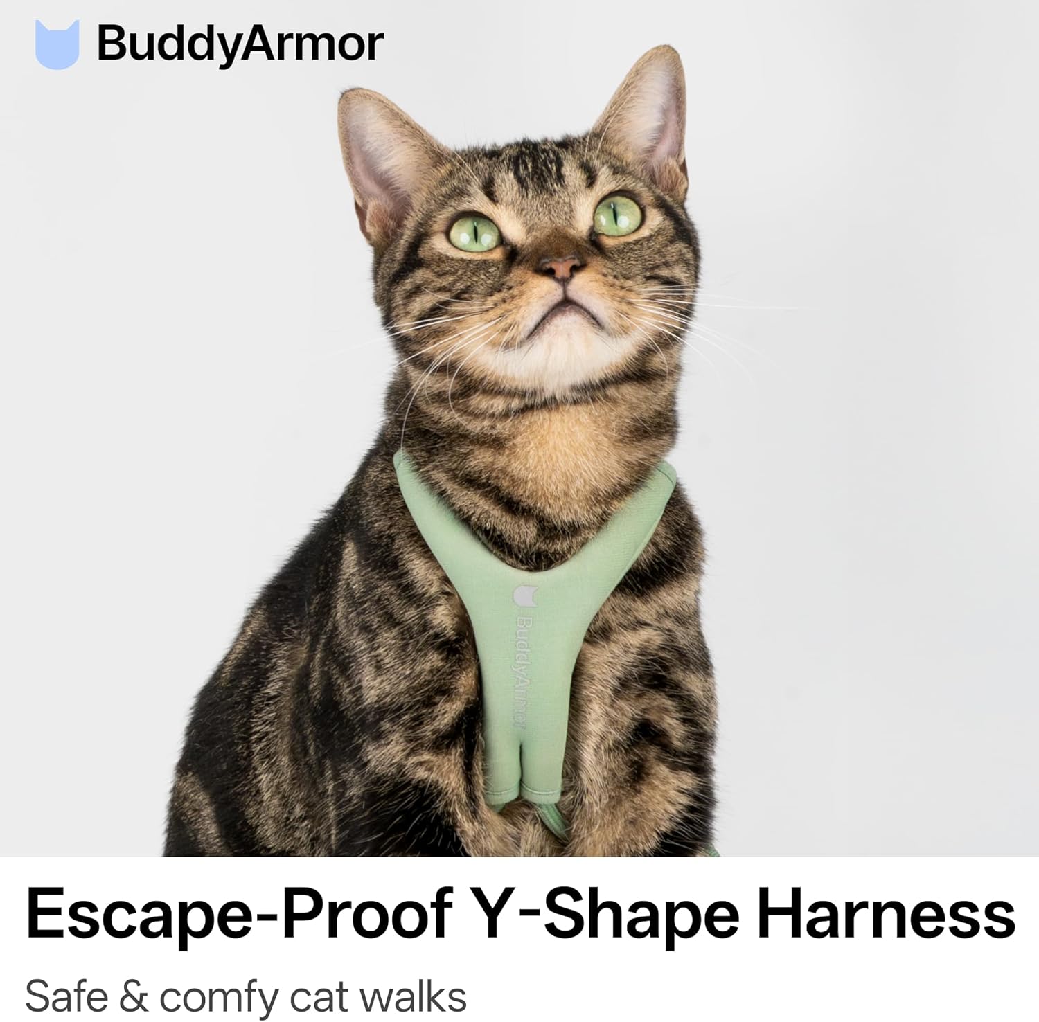 BuddyArmor Y shape adjustable cat vest harness padded chest plate