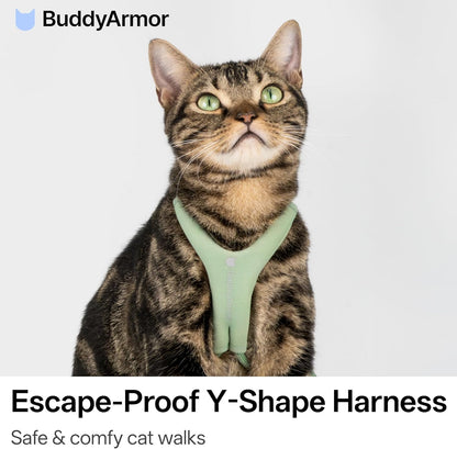 BuddyArmor Y shape adjustable cat vest harness padded chest plate