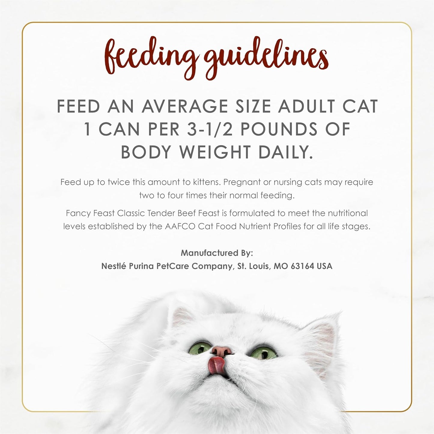 Purina Fancy Feast beef pate cat food serving suggestion