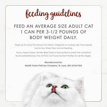 Purina Fancy Feast beef pate cat food serving suggestion