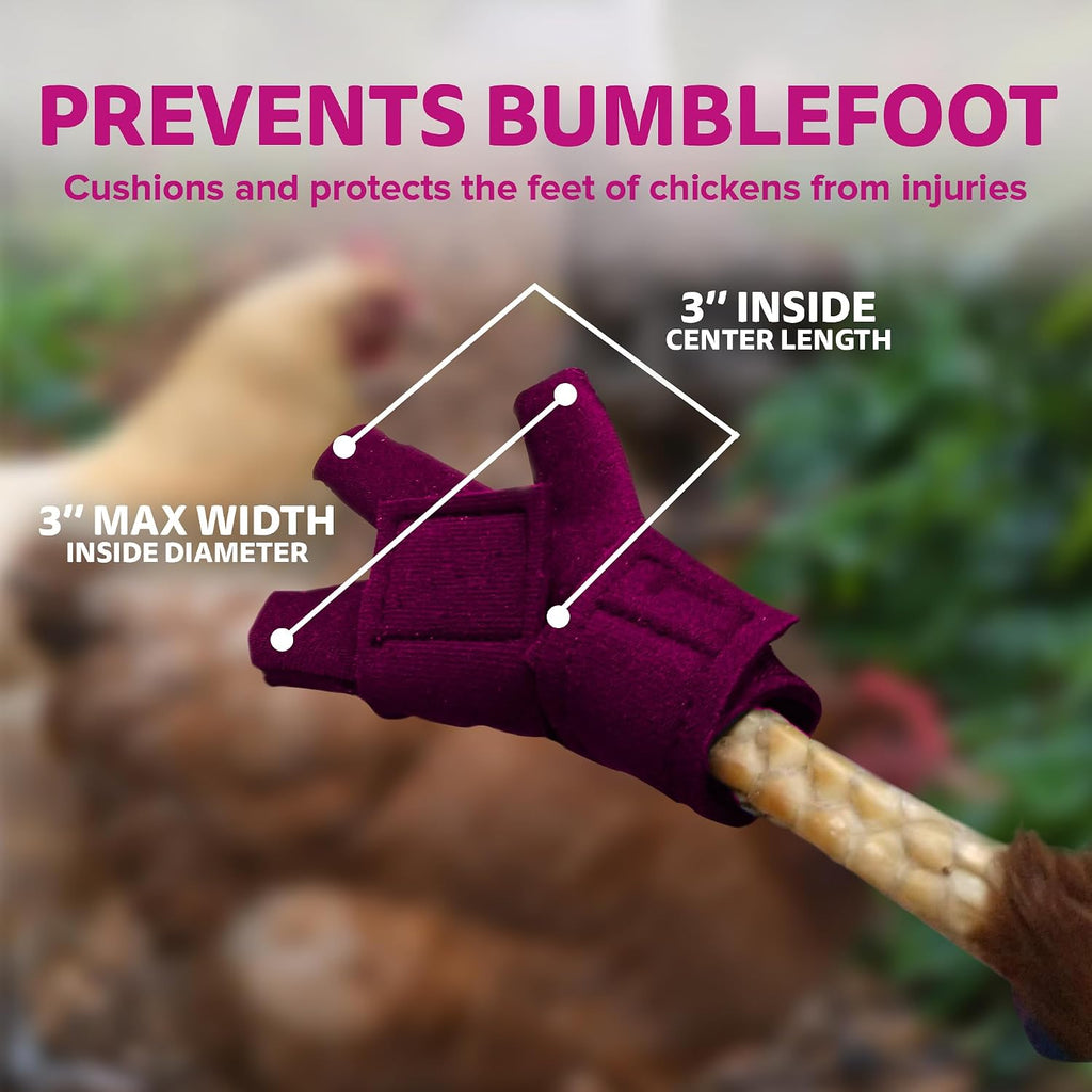 Birdy Bootie therapeutic chicken boots close up