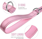 Pink tactical grade nylon dog leash by OneTigris laid out to show full six feet length