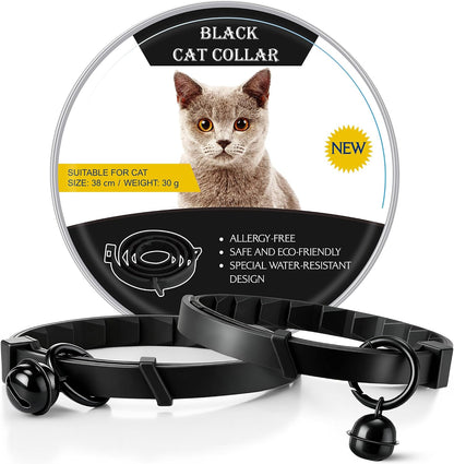 Natural ingredient flea and tick prevention for pets
